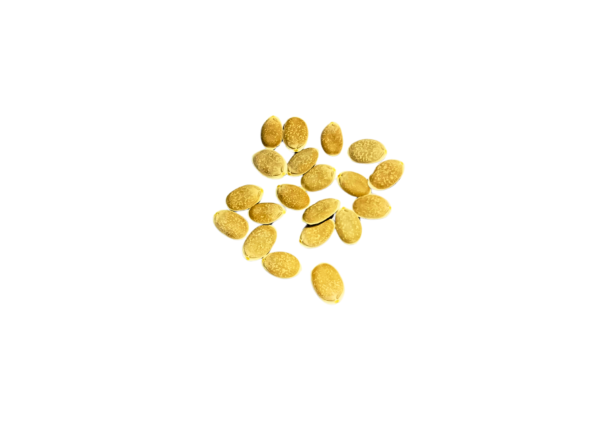 SPONGE GOURD SEEDS, F1 Hybrid Sponge Gourd - Image 2