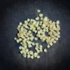 Capsicum Colored F1 Seeds - 20 Seeds - Image 2